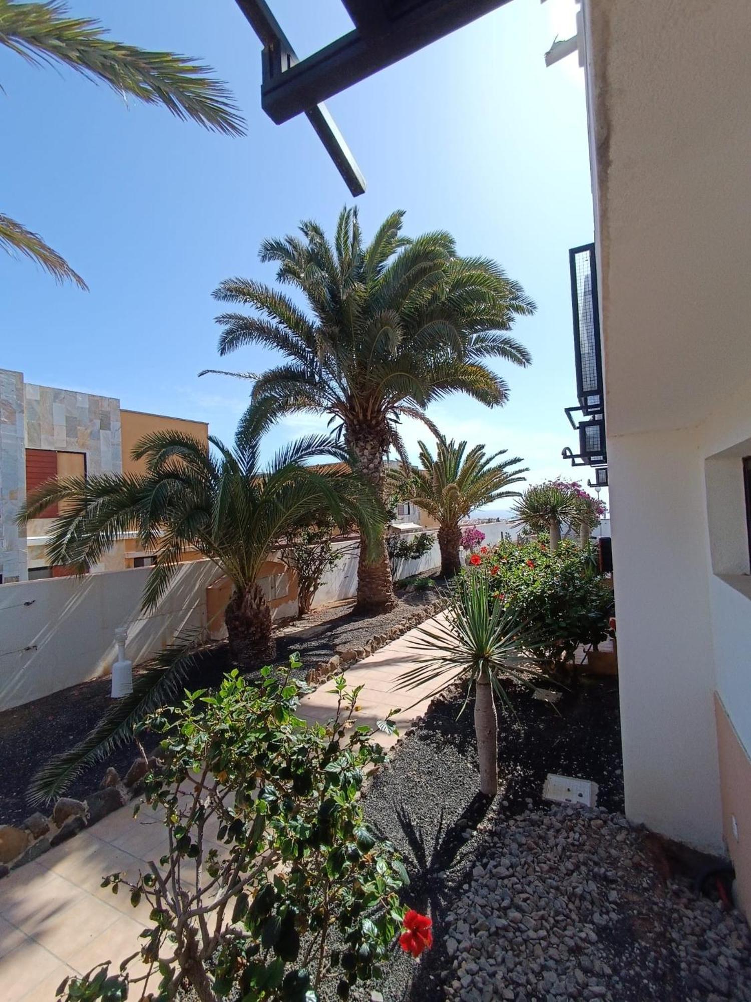 Apartamento Reload Complex Amaya Fuerteventura Costa De Antigua Bagian luar foto