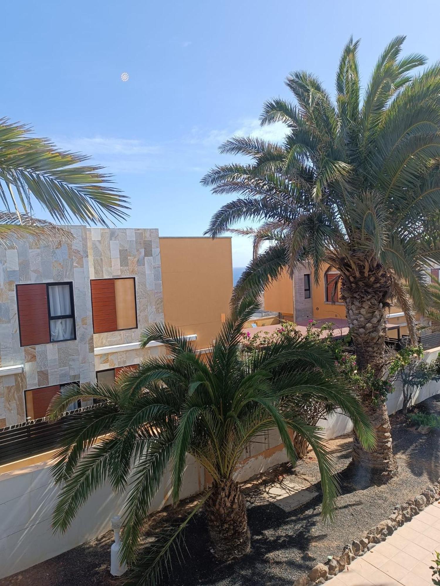 Apartamento Reload Complex Amaya Fuerteventura Costa De Antigua Bagian luar foto